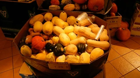 4K Pumpkins And Squash In Low Light Stock Footage 89563414