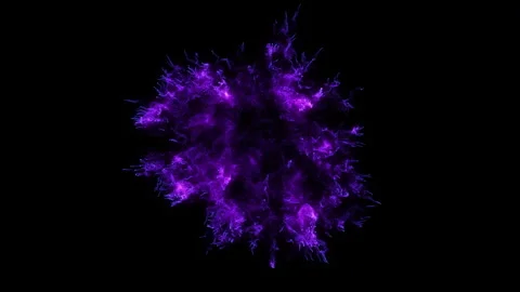 4K Purple Explosion effect. Festive Fireworks. Isolated on black background Video stock 256971689