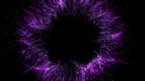 4K Purple Explosion effect. Festive Fireworks. Isolated on black background Stock Footage 256972938