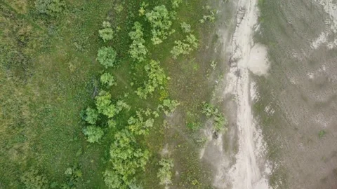 4K Quadrocopter Fly Over Small Willow Trees And Sand In Cloudy Day. Сoastline. Stock Footage 159369936