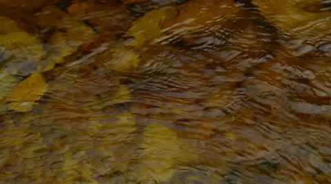 4K+ R3D - Mountain stream - clear water over rocks, close up B. Africa Stock Footage 41733472
