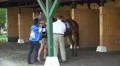 4k Racing horse owner saddle the horse for the race 4k or 4k+ Resolution