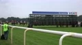4k Racing horses behind start box and waiting photographer 4k or 4k+ Resolution