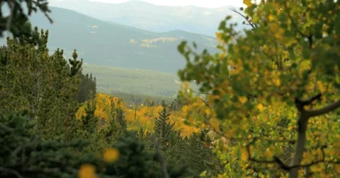 4K Rack focus aspen tree to hills mountains with fall colors Colorado Stock Footage 55732998