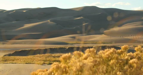 4K Rack focus dolly moving shot dunefield desert ground sand shrub grass dune Stock Footage 56032490