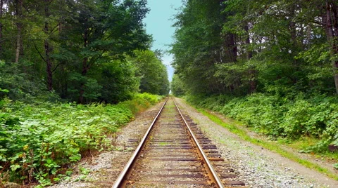 4K Rail Road Train Tracks Perspective View, Steel Railway through Forest Video stock 68002045