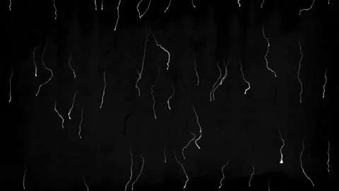 4k Rain Drops, CG generated high quality displacement mask for 3d shaders. Stock Footage 171579138