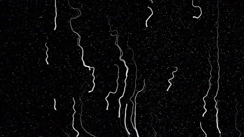 4k Rain Drops, CG generated high quality displacement mask for 3d shaders. Stock Footage 171579248