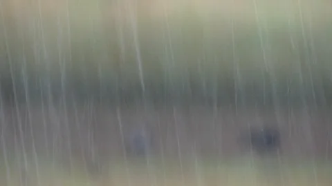 4k Rain Drops Falling on blurred image background, Stock Footage 89972772
