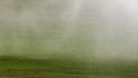 4k Rain drops falling on green grass with strong wind. Stockbeeldmateriaal 120954893