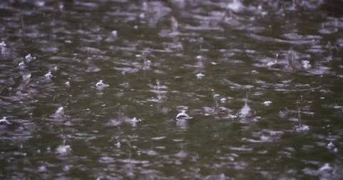 4K - Rain. Drops water Stock Footage 51786835