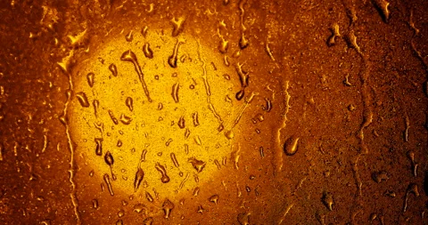 4k Rain Falling on Window Pane Bokeh Lights 3 Video stock 131961329