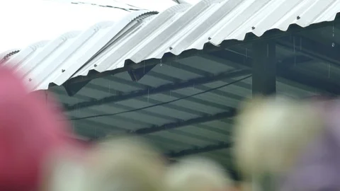 4K Rain splash droping from white industrial flat iron plate roof Vídeos de archivo 99492574