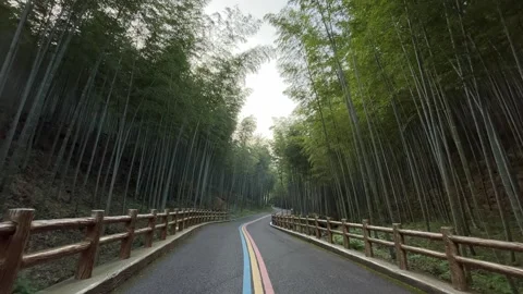 4K Rainbow Road Bamboo Forest Yixing China Stock Footage 333896273