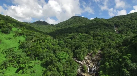 4K Rainforest Hills and Trees View from Sky Stock Footage 63618009