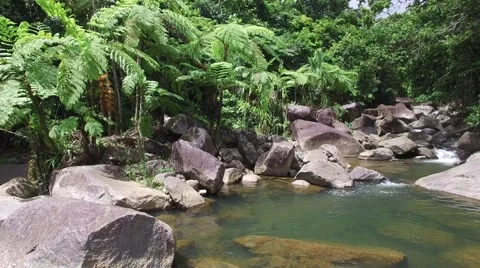 4K Rainforest Sunny Pool 2 Stock Footage 63618034