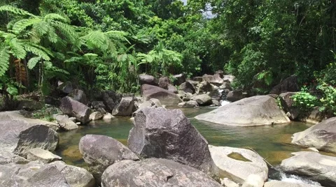 4K Rainforest Sunny Water Pool Stock Footage 63618088
