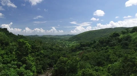 4K Rainforest Valley Sky View Stock Footage 63618050