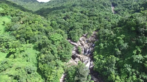 4K Rainforest View from Sky with Waterfalls Stock Footage 63618094