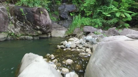 4K Rainforest Water Pool Rocks Stock Footage 63618099
