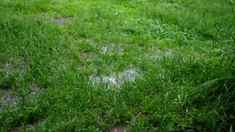 4K rainy summer video background. Stock Footage 154870156