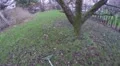 4K raking dried leaves in the garden with a green rake 4k or 4k+ Resolution