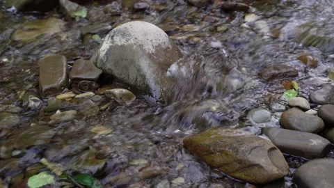 4K. Rapids of a stormy mountain river with fast water and large stones. Stock Footage 220443345