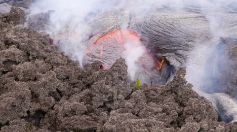 4K RAW Lava Flow And Vegetation 07 Stock Footage 58880202