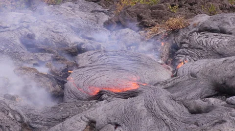 4K RAW Lava Flow And Vegetation 10 Stock Footage 58880387