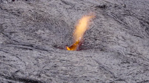 4K RAW Lava Flow And Vegetation 11 動画素材 58880581