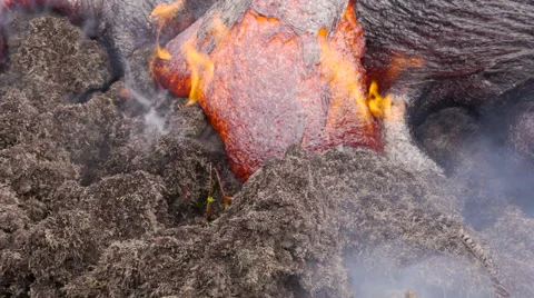 4K RAW Lava Flow And Vegetation 06 動画素材 58880915