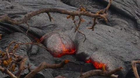 4K RAW Lava Flow And Vegetation 15 Stock Footage 58881119