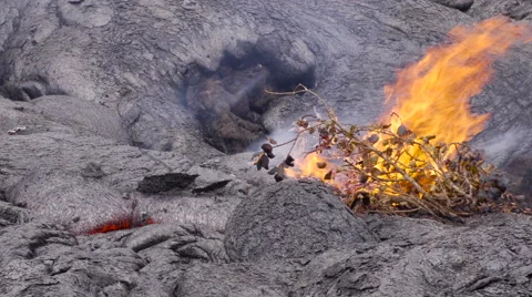 4K RAW Lava Flow And Vegetation 13 Stock Footage 58881272