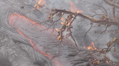 4K RAW Lava Flow And Vegetation 17 Stock Footage 58882929