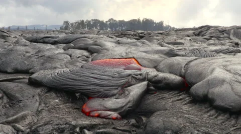 4K RAW Lava Flow And Vegetation 18 Stock Footage 58883039