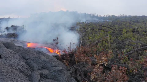 4K RAW Lava Flow And Vegetation 31 動画素材 58883316