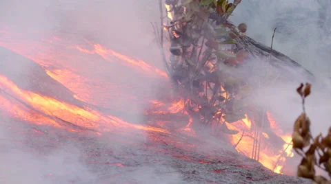 4K RAW Lava Flow And Vegetation 28 動画素材 58883330
