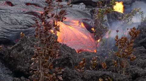 4K RAW Lava Flow And Vegetation 27 Stock Footage 58883353