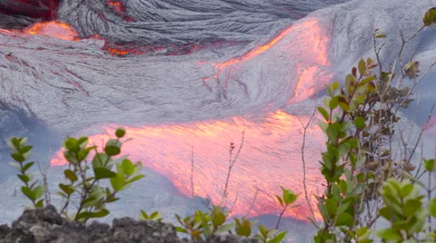 4K RAW Lava Flow And Vegetation 26 Stock Footage 58883431