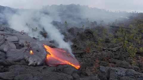 4K RAW Lava Flow And Vegetation 30 動画素材 58884382
