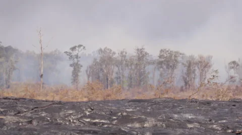 4K RAW Lava Flow LandScape 01 Stock Footage 58888091