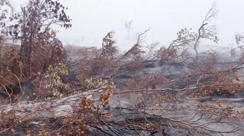 4K RAW Lava Flow LandScape 08 Stock Footage 58889070