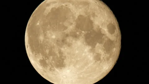 4K - Real big full moon. Nightlife of a bats on background of a moon Stock Footage 219646983