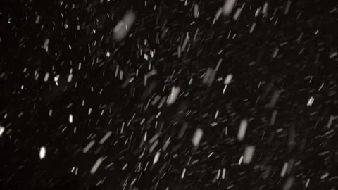 4K Real Snow Falling With Variable Winds Black Stock Footage 330092748