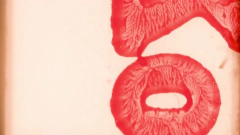 4K real Super 8 start Film Frame scan, red lettering on white , old noise film Stock Footage 171989892