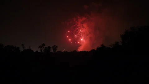 4K Real Time of 4th of July fireworks silhouetting trees in Elysian Park in L.A. Stock Footage 248560442