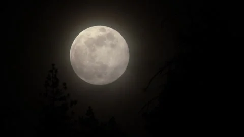 4K Real time of a full moon rising betwe... | Stock Video | Pond5