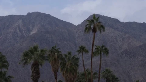 4K Real time of palm trees and dark San Jacinto Mountains in California Stock Footage 225748249