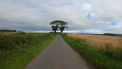 4k real time POV moving back from Kissing Trees, Kinghorn, Fife Stock Footage 151114697