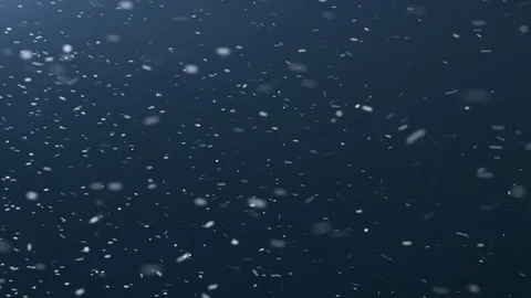 4k Realistic Large and small snow snowflakes. Video stock 106145072